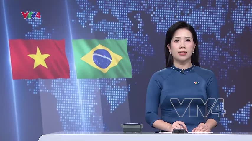 Đặt biển tôn vinh Chủ tịch Hồ Chí Minh tạo Brazil