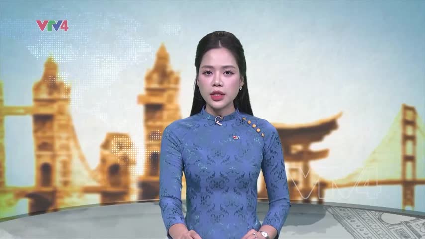 Bảo hộ công dân Việt Nam tai nạn giao thông tại Đức