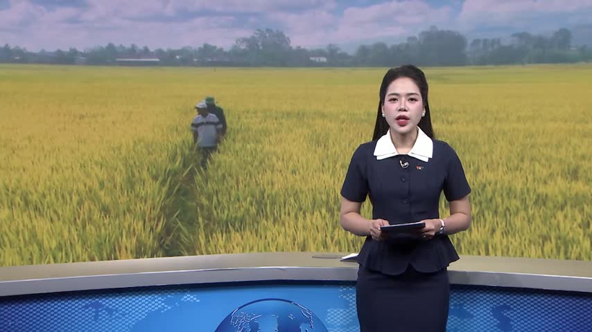 Đắk Lắk - Niềm vui được mùa sau lũ lịch sử