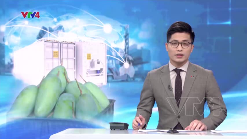 Việt Nam là thị trường cung cấp xoài lớn thứ 3 cho Hàn Quốc