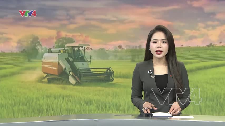 Hiệu quả chuỗi liên kết trong canh tác lúa giảm phát thải