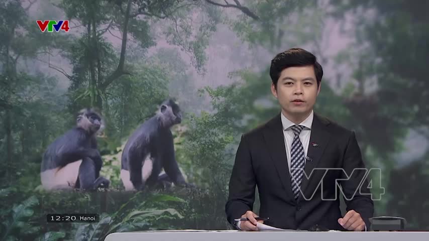 Cúc Phương là vườn quốc gia hàng đầu châu Á 
