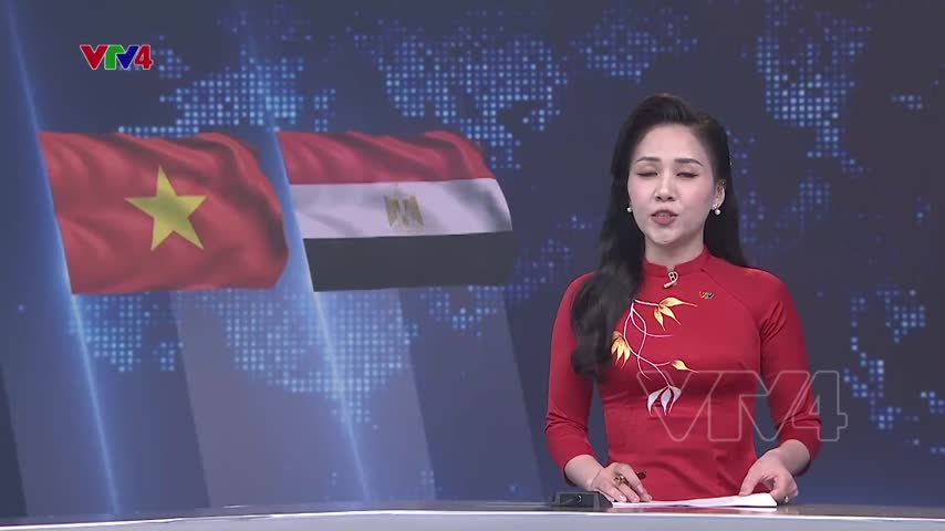Việt Nam - Ai Cập nâng cấp quan hệ lên đối tác toàn diện