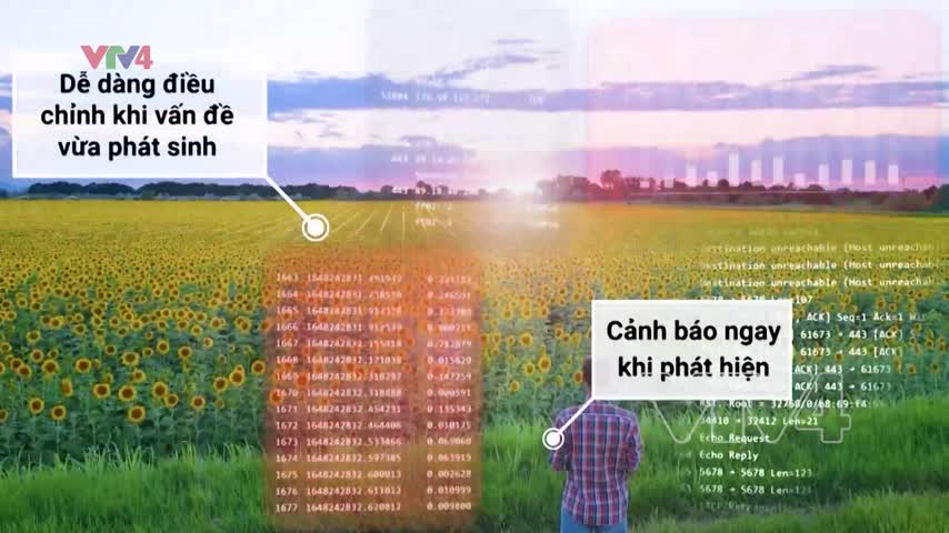 Focus: Ứng dụng nền tảng số nâng tầm nông sản Việt