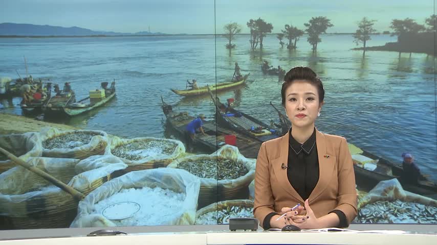Chợ cá mùa nước nổi