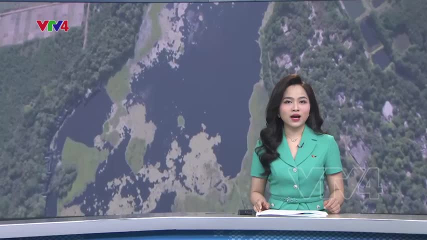 Giữ rừng nguyên sinh giữa miền cát trắng