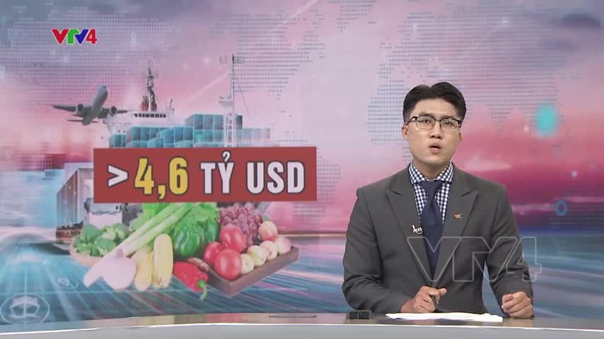 Xuất khẩu rau quả 8 tháng đạt hơn 4,6 tỷ USD