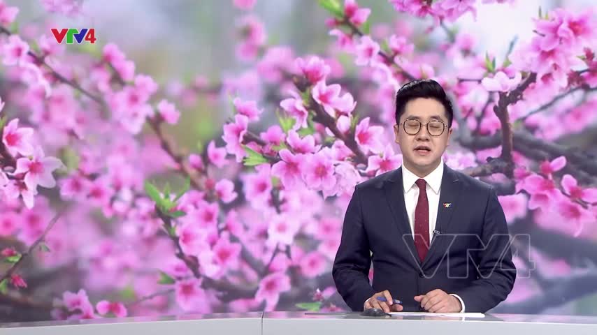 Ấn phẩm đặc biệt về Chủ nghĩa Xã hội