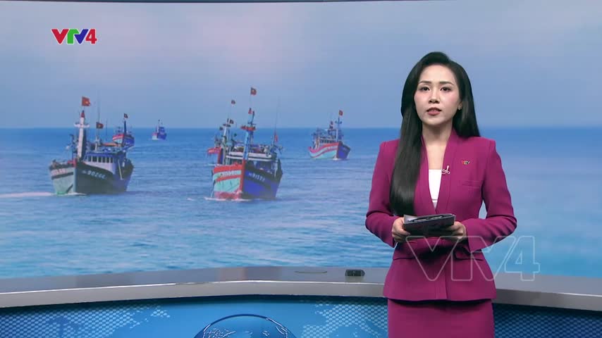 Ngăn chặn sớm, xử lý nghiêm khai thác cá trái phép