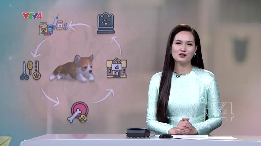 Tiềm năng ngành công nghiệp thú cưng tại Việt Nam