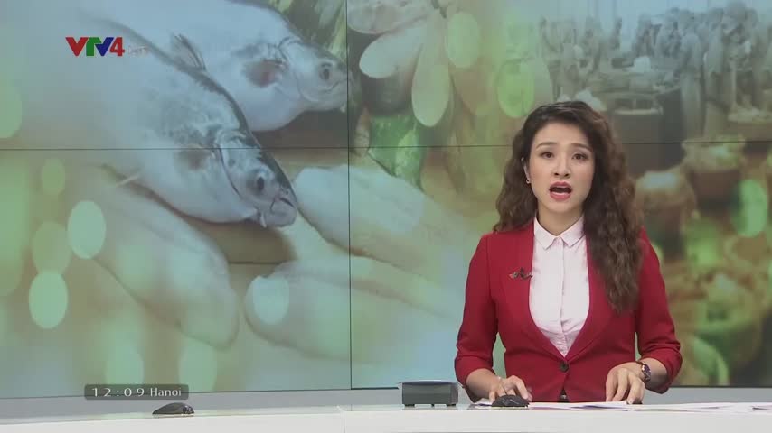 VASEP kiểm soát chất lượng cá tra nhập khẩu sang Trung Quốc​