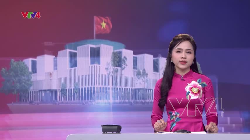 Đảm bảo điều kiện thực thi các luật