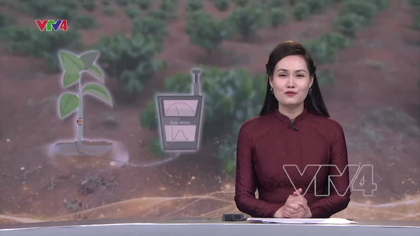 Công nghệ giúp tiết kiệm nước tưới cho cà phê