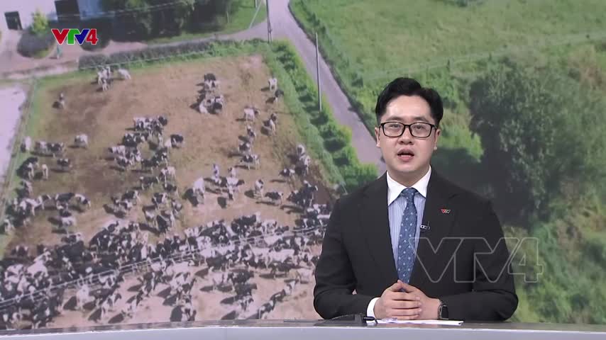 Khởi động nông nghiệp giảm phát thải