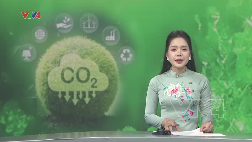 Chính thức vận hành sàn giao dịch Carbon