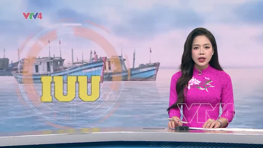 Cao điểm gỡ thẻ vàng thủy sản