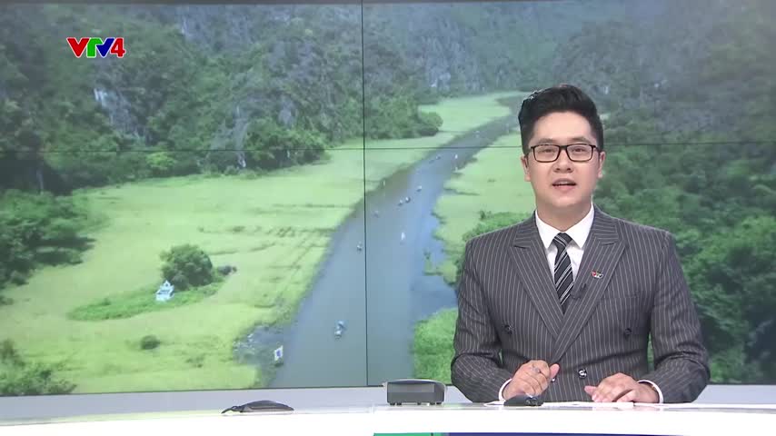 Sắc vàng Tam Cốc