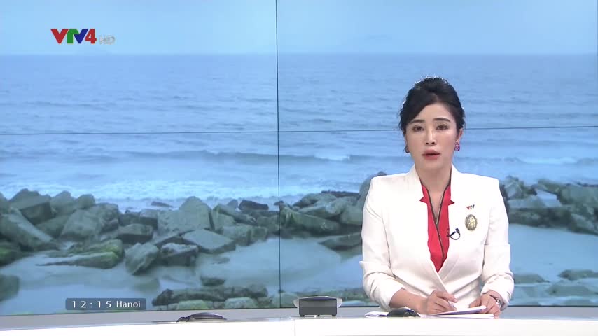 Hà Lan đề xuất giải pháp chống sạt lở bờ biển cửa Đại