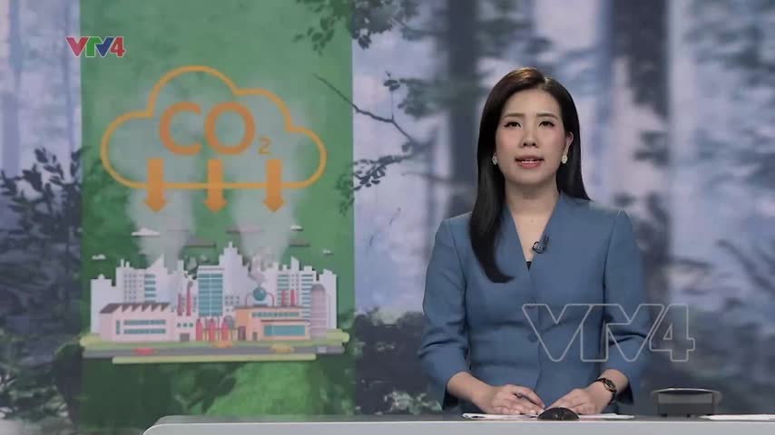 Chia sẻ 51,5 triệu USD cho 6 tỉnh Bắc Trung Bộ bán tín chỉ carbon rừng