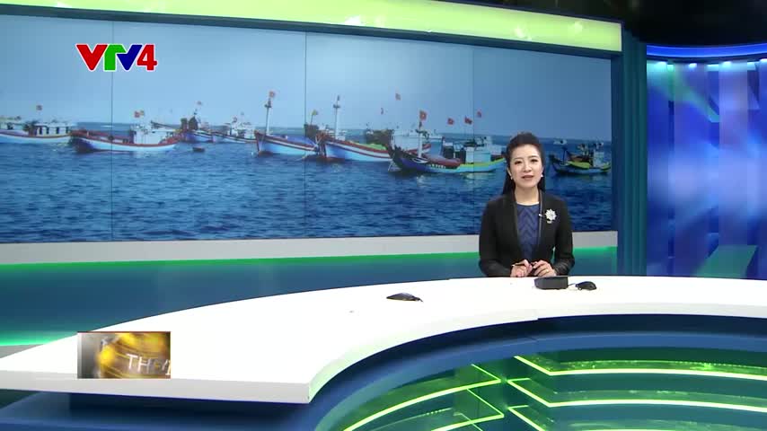 Ngư dân đẩy mạnh đánh bắt hải sản theo hướng bảo vệ môi trường