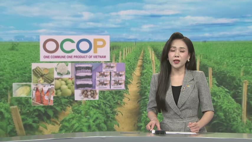Sản phẩm ocop bước vào giai đoạn sàng lọc mới