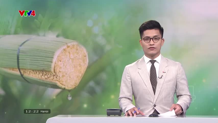 Hồi sinh nghề thu mật hoa dừa