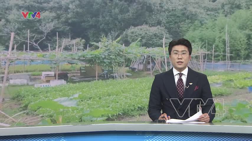 Vườn rau kết nối cộng đồng tại Nhật