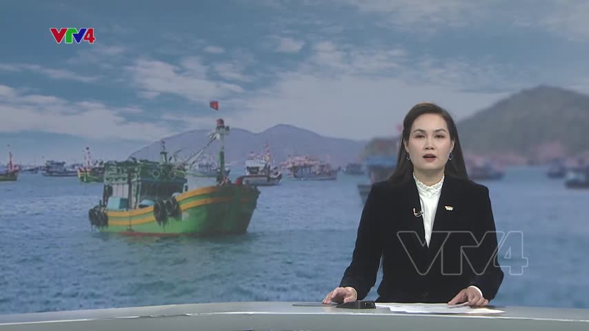 Tăng cường kiểm tra khai thác hải sản bất hợp pháp