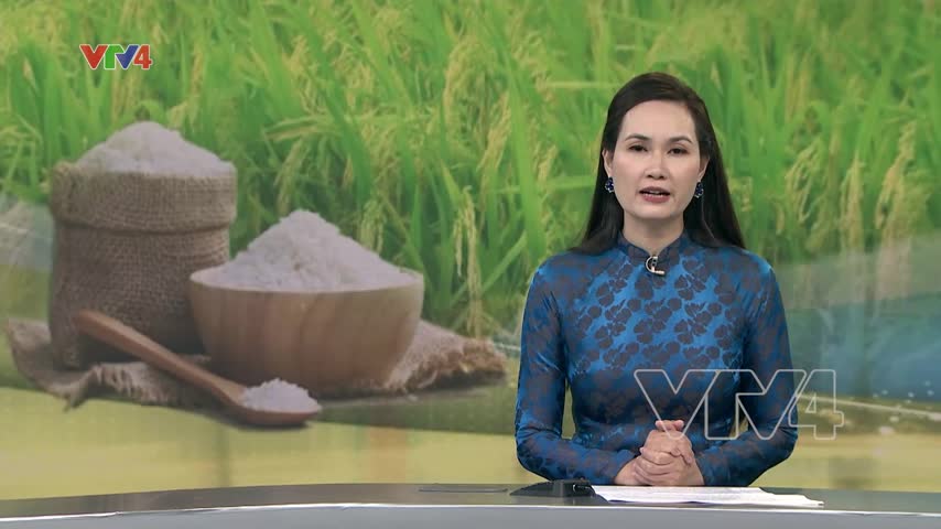 Ổn định thị trường xuất khẩu gạo cuối năm