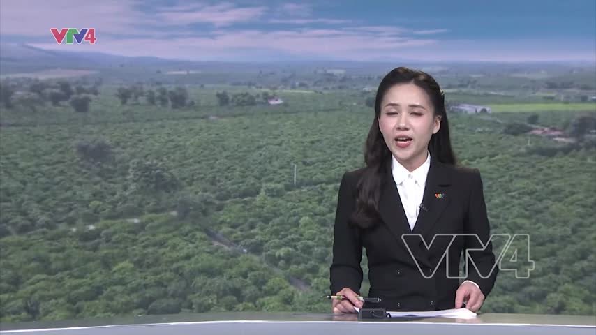 Việt Nam trong nhóm rủi ro thấp chống phá rừng