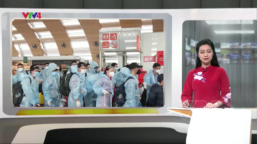 Hơn 270 công dân Việt Nam ở nước ngoài về nước
