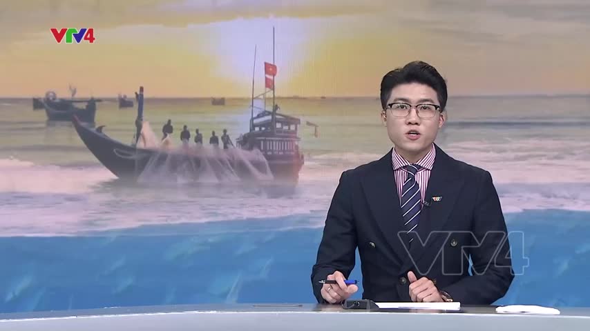 Ngư dân tấp nập vươn khơi