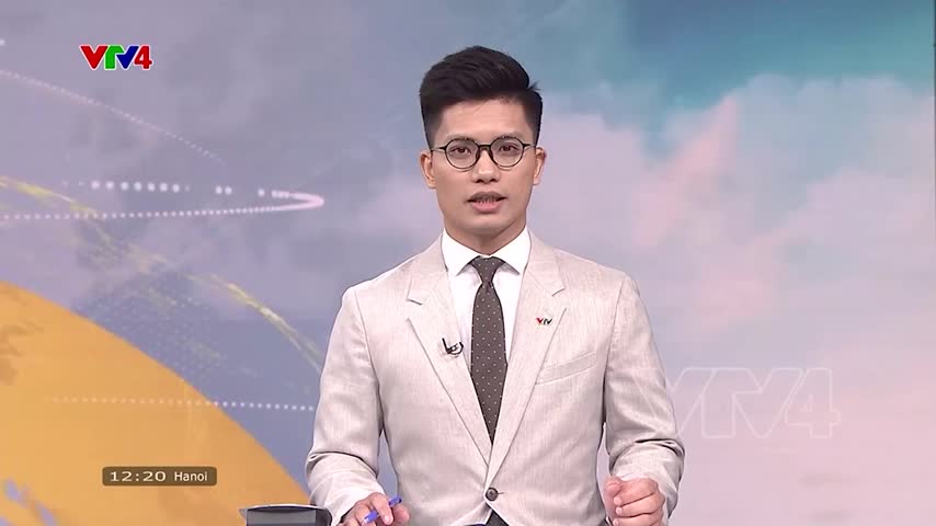 Cá heo bơi nhảy trên mặt biển ở Đà Nẵng