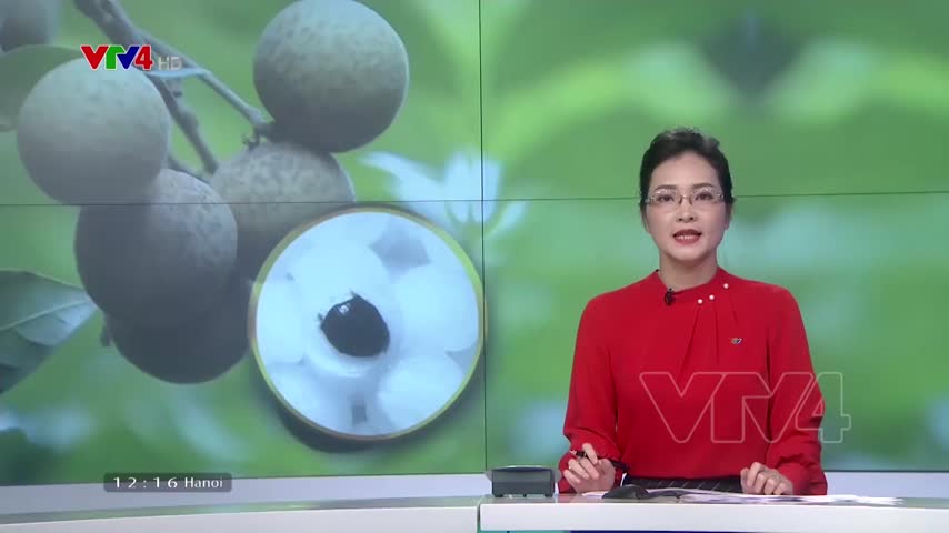 Tăng cường xúc tiến thương mại cho nhãn