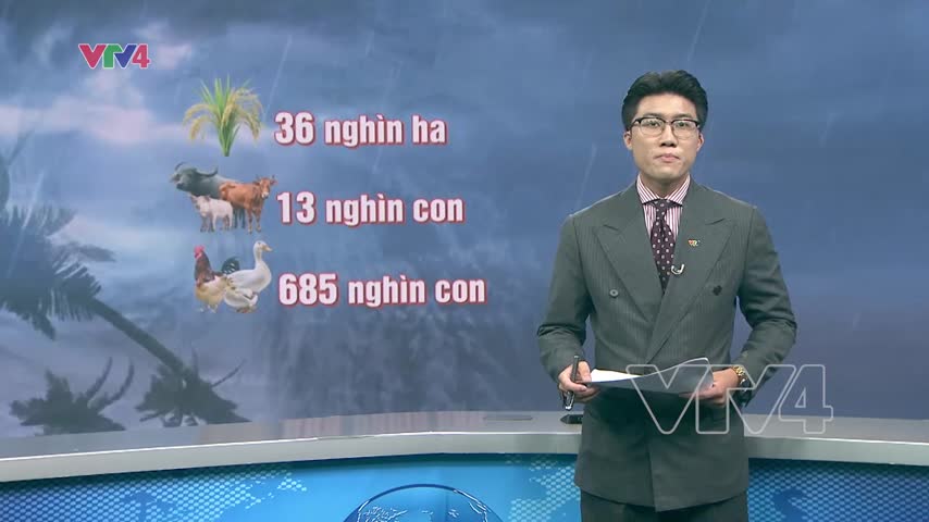 Bão số 11 tác động lớn tới chuỗi cung ứng nông sản