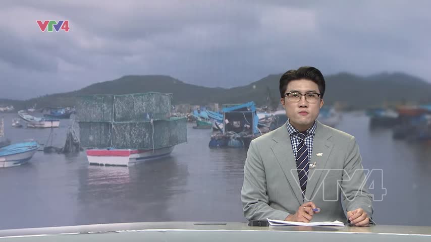 Tái thiết vùng nuôi tôm hùm sau thiên tai