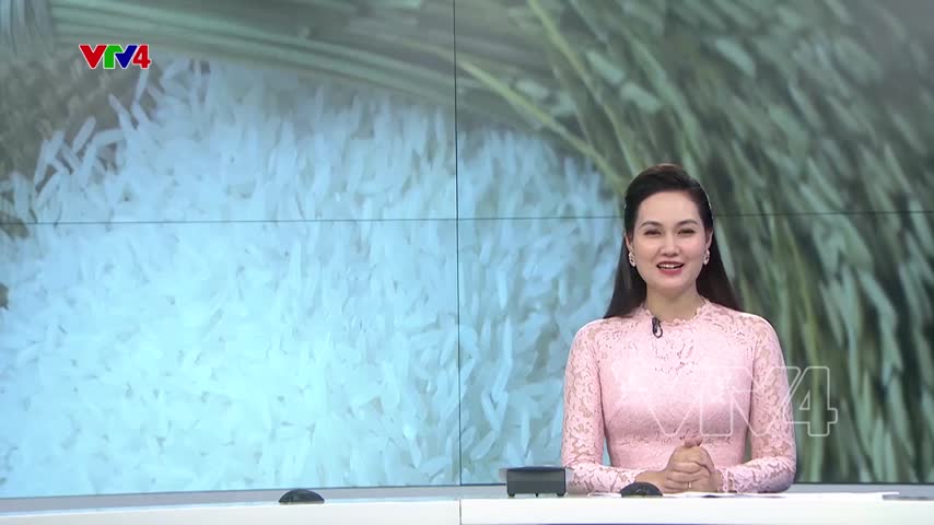 Việt Nam giành giải gạo ngon nhất thế giới