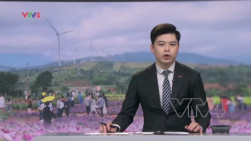 Nông nghiệp kết hợp với du lịch thu hút khách
