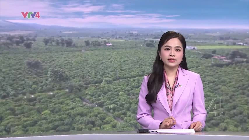 Thích ứng quy định chống phá rừng