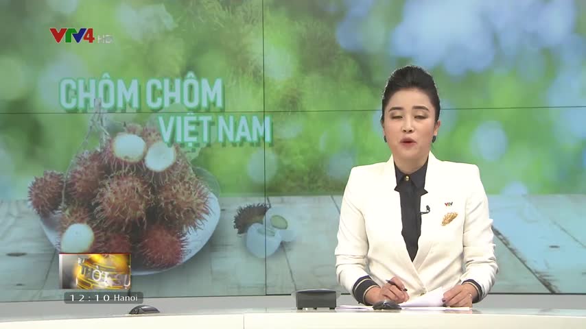 Để trái Chôm Chôm rộng đường xuất khẩu