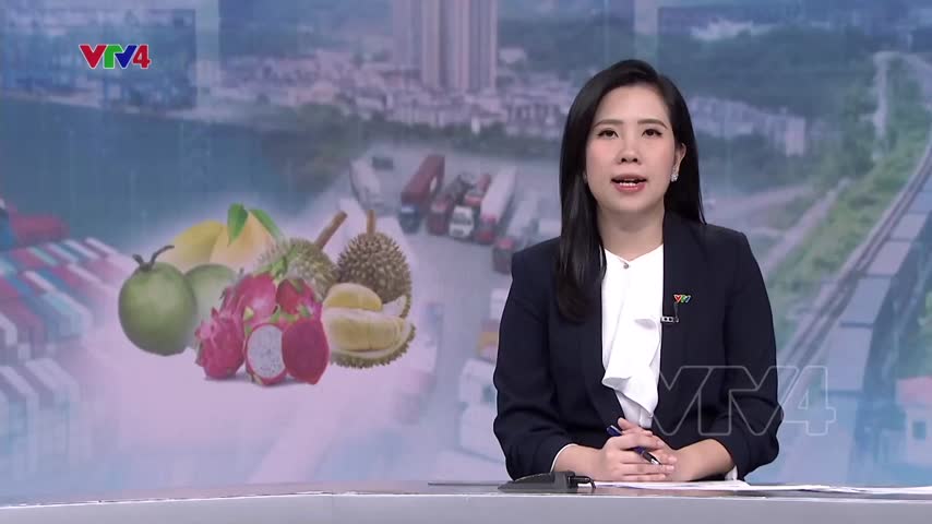 Thương mại Việt Nam - Trung Quốc vượt 205 tỷ USD