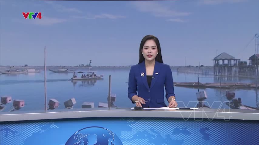 Trả lại màu xanh cho vùng đầm phá ven biển