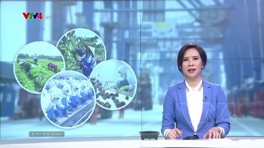 Nông nghiệp đảm bảo cho thị trường trong nước và xuất khẩu