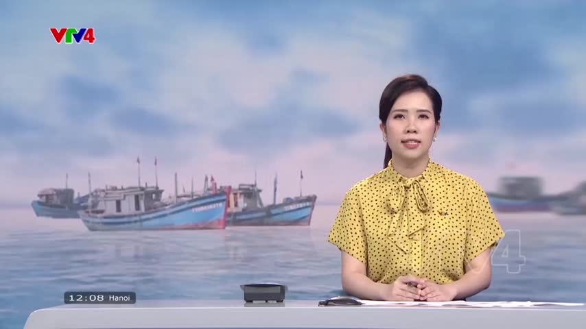 Phòng chống khai thác hải sản trái phép 