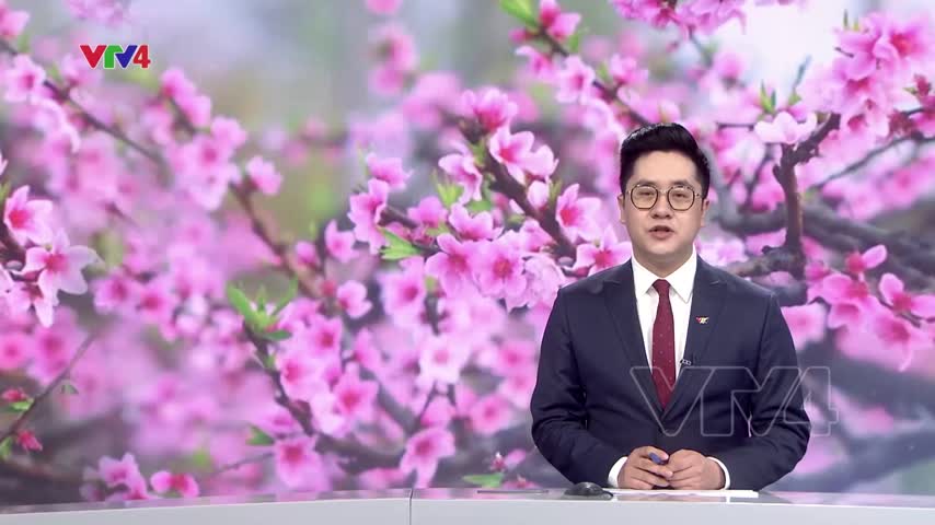 Chủ tịch nước biểu dương đội tuyển bóng đá nữ