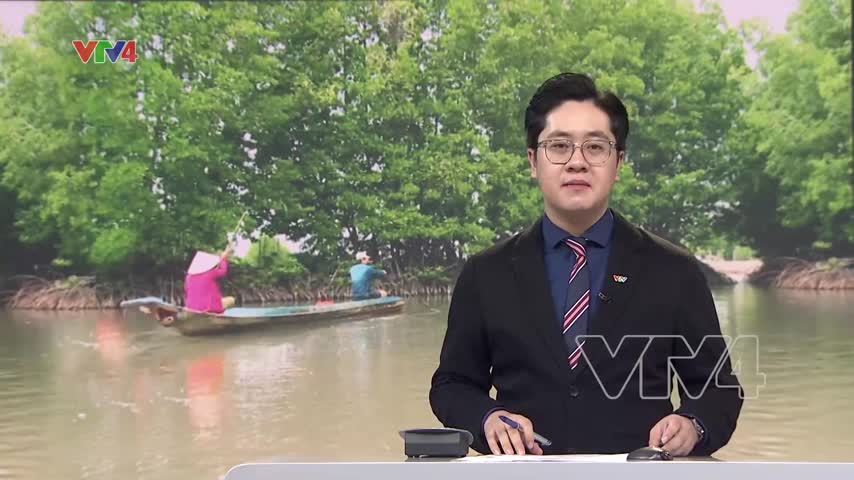 Bảo vệ và phát triển rừng ngập mặn