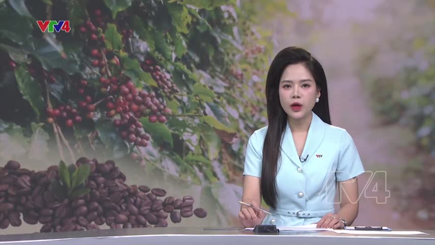 5 tháng xuất khẩu cà phê đạt 4,2 tỷ USD