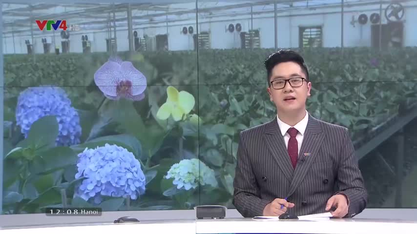 Nông nghiệp công nghệ cao thúc đẩy cây trồng