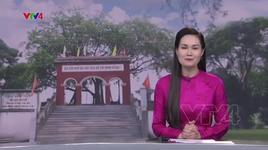 Ký ức còn mãi dưới tán đa Bác Hồ