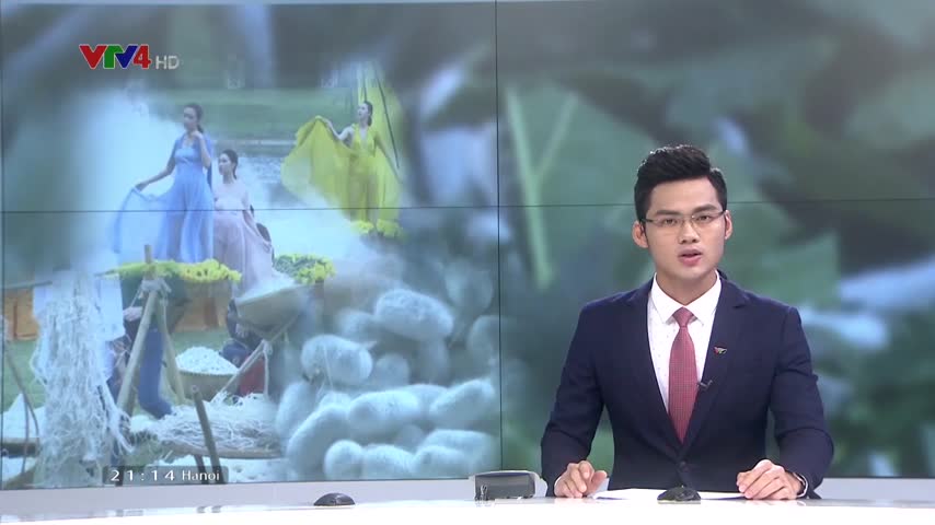 Xây dựng vùng sản xuất tơ lụa lớn nhất nước